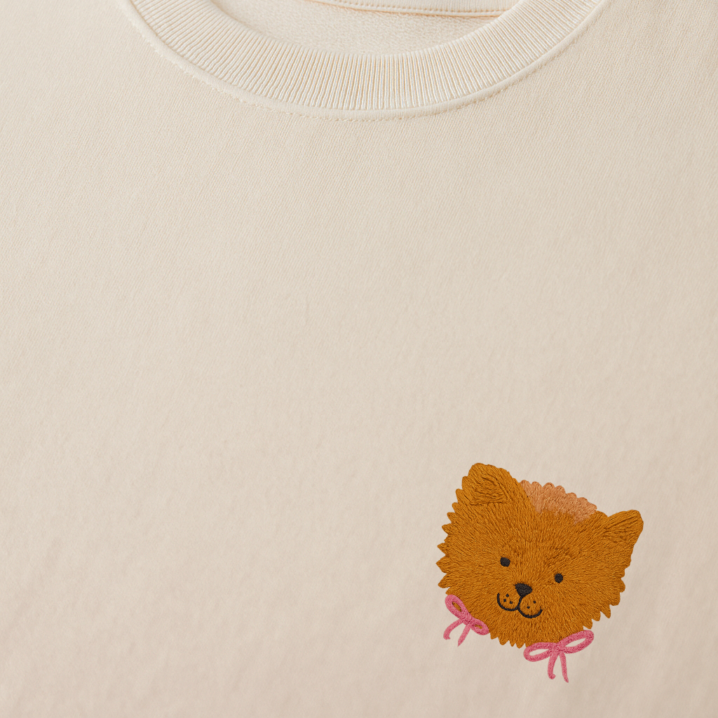 Custom Embroidered Pet Sweatshirt