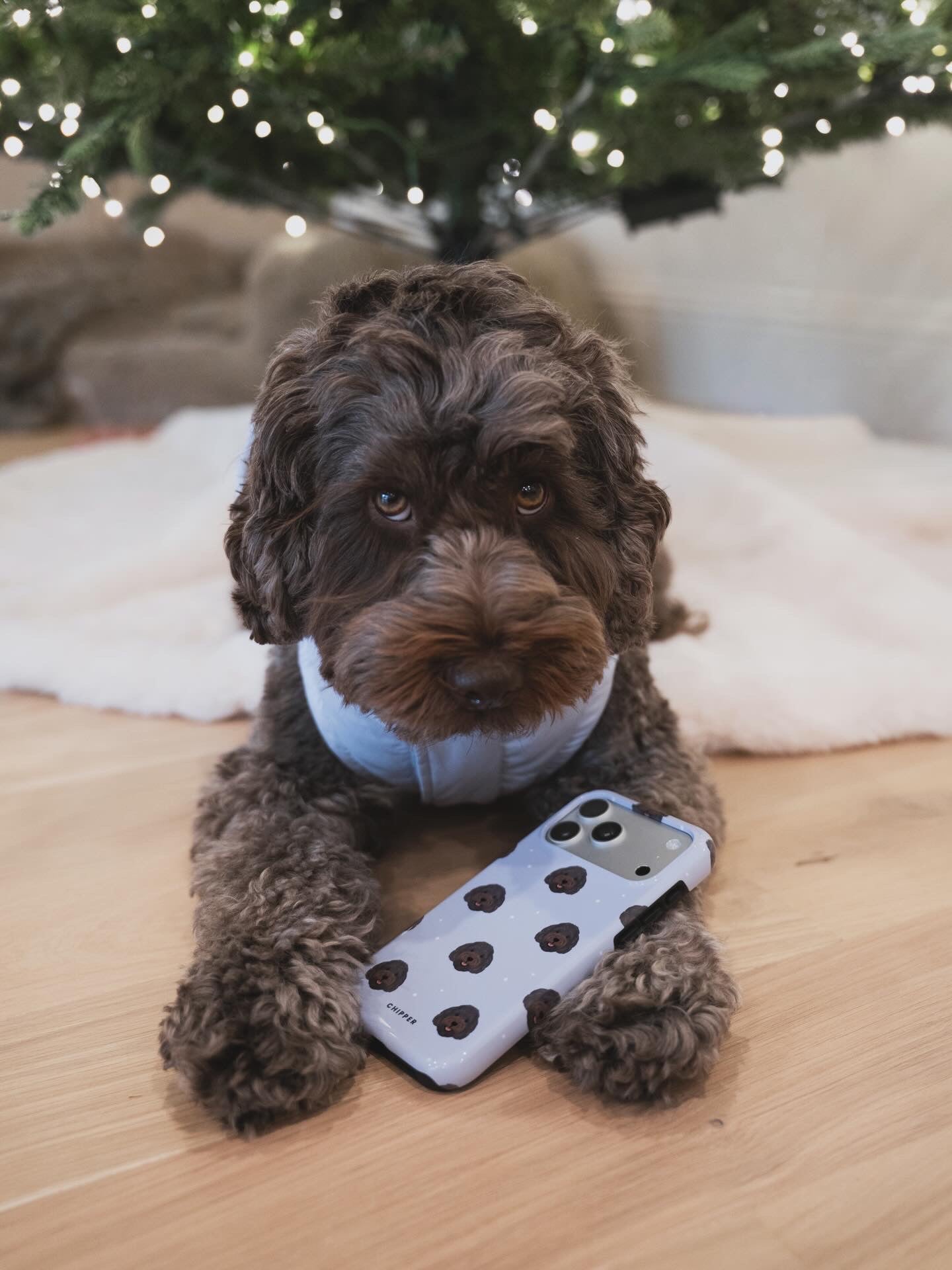 Custom Pet Portrait Phone Case